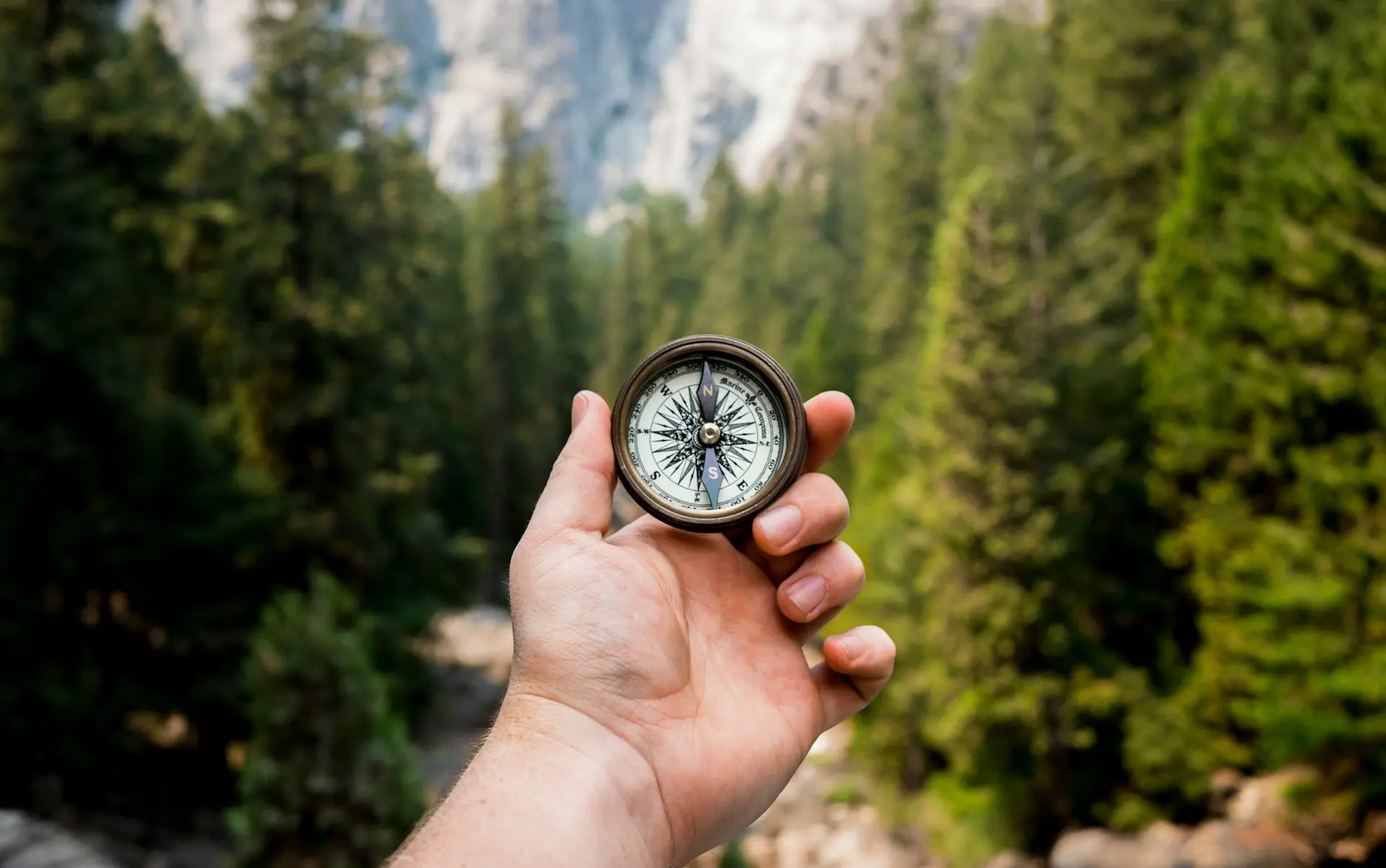 person holding compass facing towards green pine trees